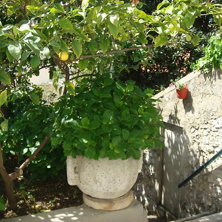 דוברובניק Guesthouse Manda מראה חיצוני תמונה