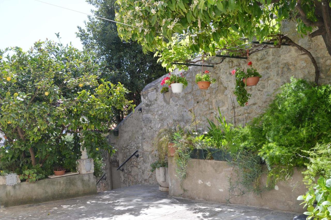 דוברובניק Guesthouse Manda מראה חיצוני תמונה