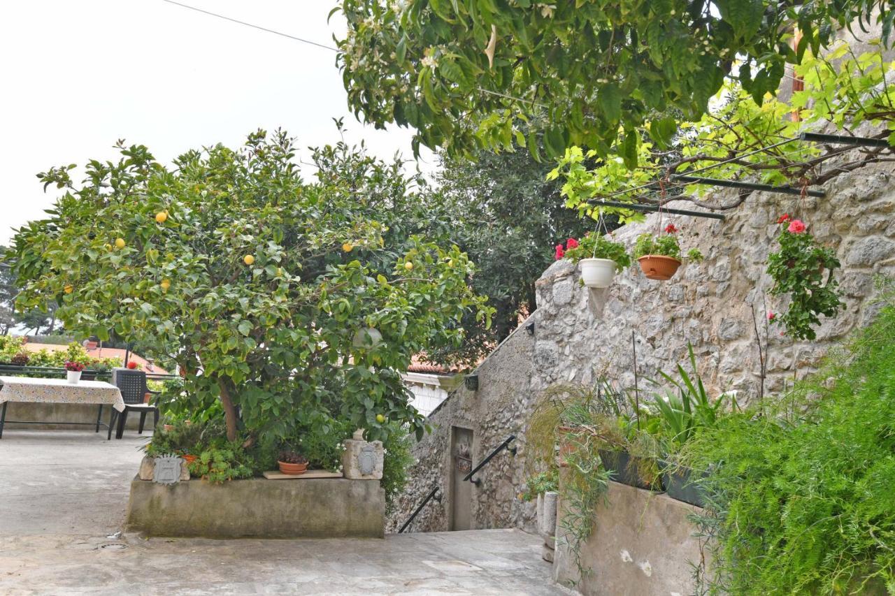 דוברובניק Guesthouse Manda מראה חיצוני תמונה