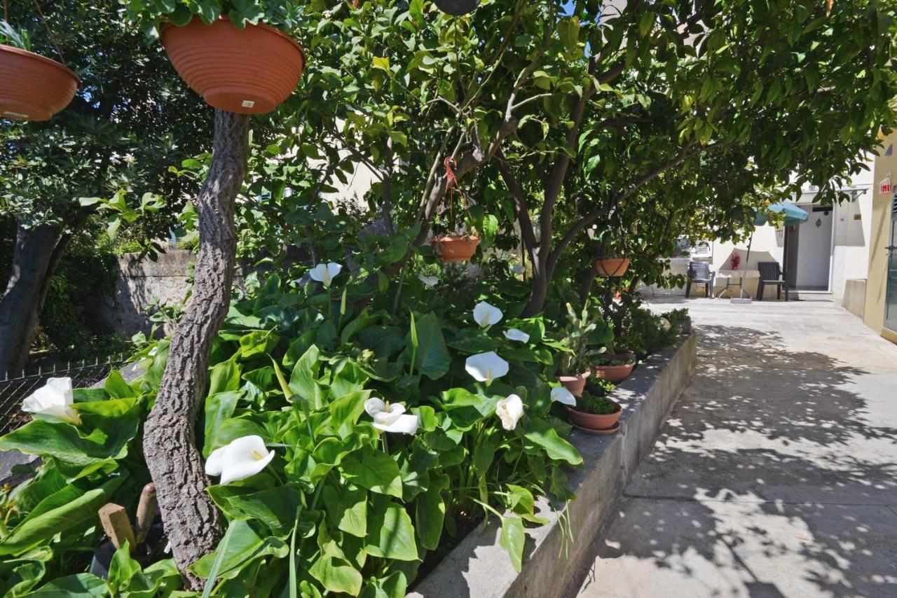 דוברובניק Guesthouse Manda מראה חיצוני תמונה