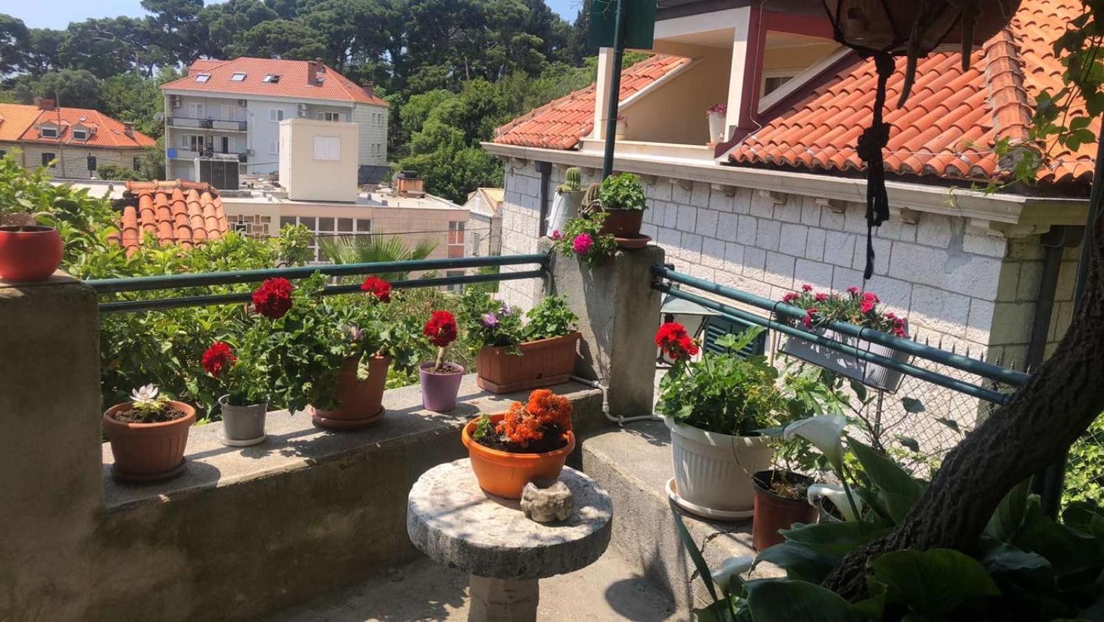 דוברובניק Guesthouse Manda מראה חיצוני תמונה