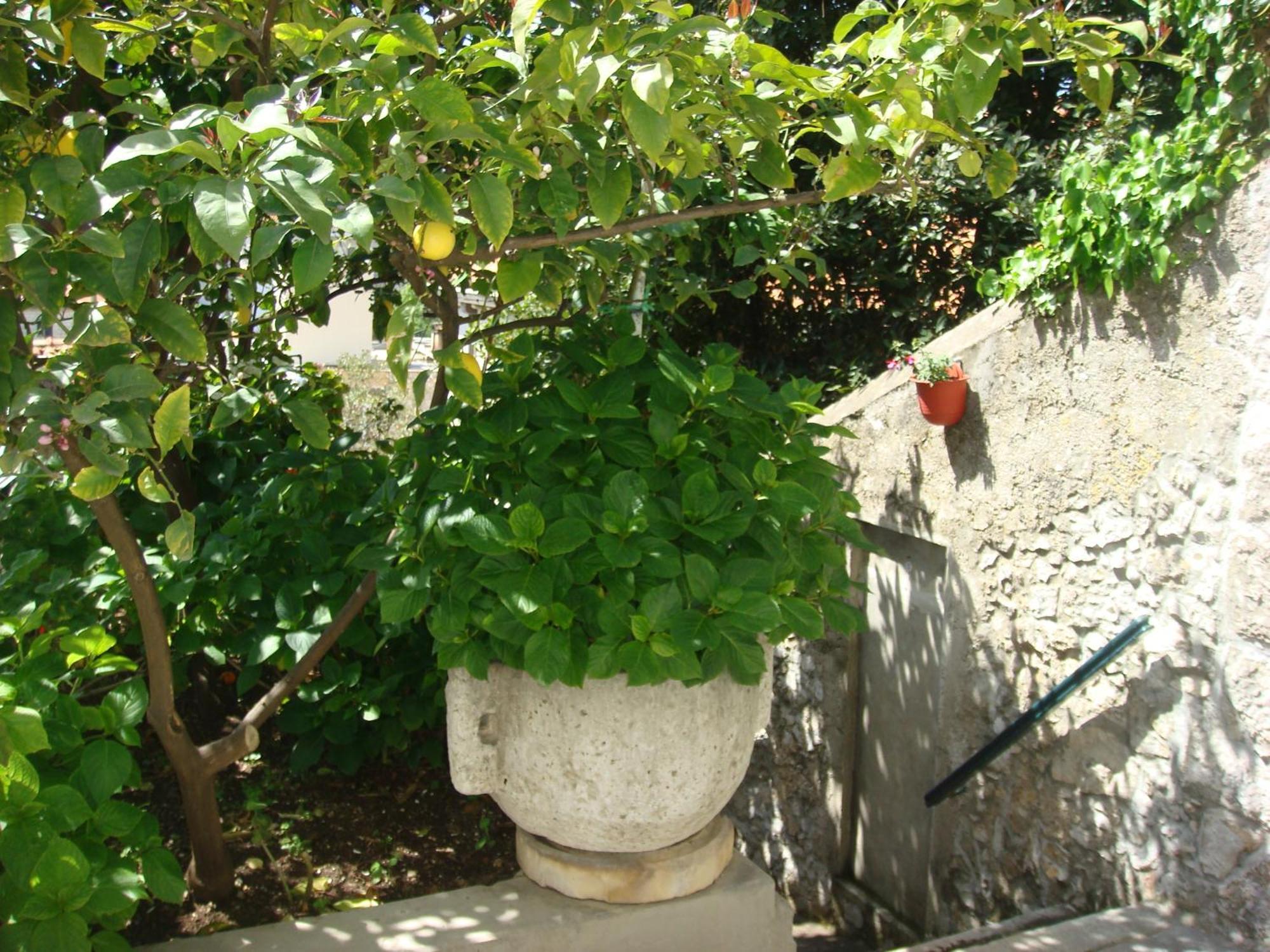 דוברובניק Guesthouse Manda מראה חיצוני תמונה